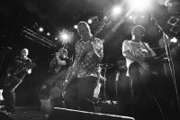 Chuck Dukowski, Dez Cadena, Keith Morris, Bill Stevenson, Stephen Egerton, Black Flag, LA Punk Rock, Stacholero, Frank Schmitt, 